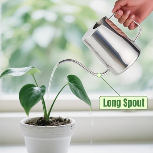 Doseno Small Watering Can for Indoor Plants, Metal, Long Spout, 34 oz/1 L