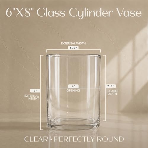 Royal Imports Glass Cylinder Flower Vase 8" Tall, 6" Opening, Clear