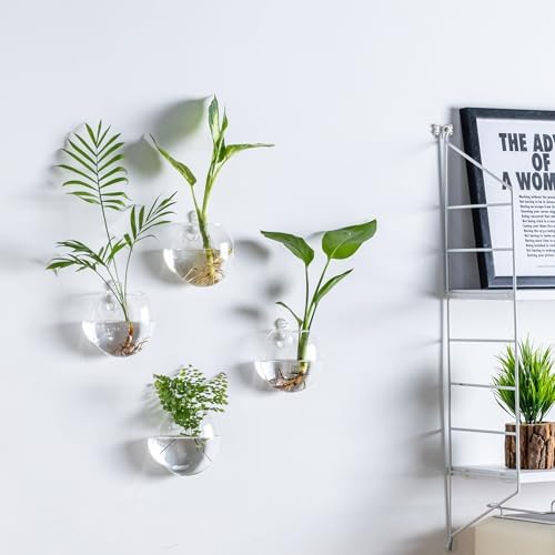 Wall Hanging Planter Propagation Station, Oblate Glass Flower Vase for Propagation, Wall Planter for Indoor Plants, Modern Home Office Corridor Bathroom Decor (2)