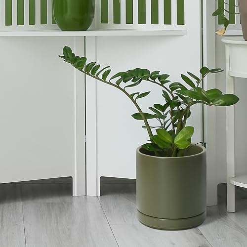 D'vine Dev 8.2 Inch Ceramic Planter Pot, Olive, 94-O-D-J