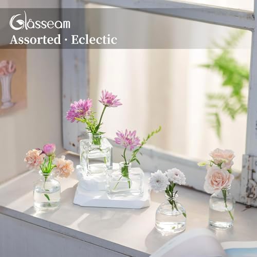 Glasseam Mini Bud Vases for Flowers, 10Pcs Clear Glass Vase for Centerpiece