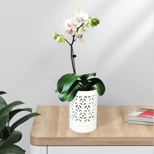 Orchid Pots with Holes,4 Inch Ceramic Orchid Pot for Repotting, Flower Planter Pot Indoor Outdoor, Breathable Slotted Orchids Planter White