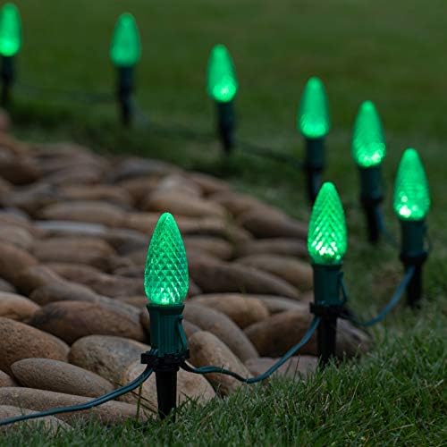 Wintergreen Lighting 25’ OptiCore LED Green Pathway Christmas Lights, C9 Outdoor Christmas Lights, 4.5” Stakes, Green Wire Plug String Lights