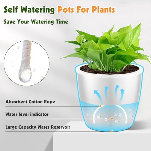 Self Watering Pots for Indoor Plants, 6-Pack 5'' Self Watering Planter with Drainage Holes, Small African Violet Pots with Water Indicator, Clear Wick Orchid Pot, White