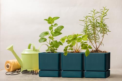 D'vine Dev 3-Pack Plastic Herb Planter Pots, 4 in, Green, 76-Y-C-1
