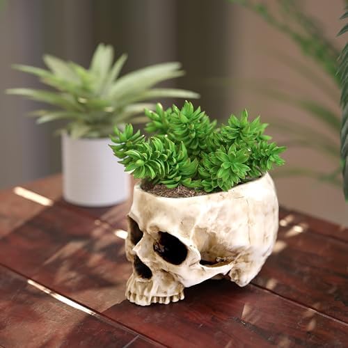 READAEER Skull Planter with Drain Hole, Resin Skull Shaped Flower Pot Candy Bowl, Gothic Decoration for Home Office Desk- White