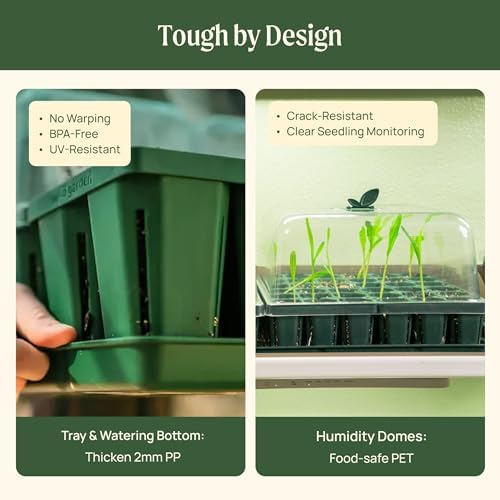 Vego garden Germination Bundle, 2Packs Giga Seedling Trays with Seedling Tray Lids and 10" x 20" Bottom Watering Trays Plus Seedling Humidily Dome