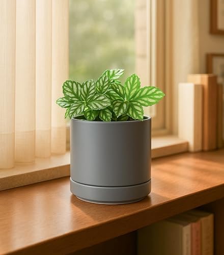 D'vine Dev 4.7 Inch Ceramic Planter Pot, Grey, 94-O-B-3