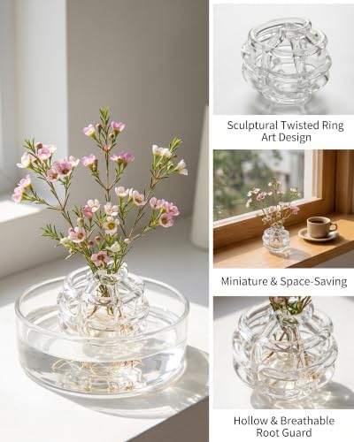 Modern Glass Flower Frog,Floral Stem Holder with Irregularly Ring Design