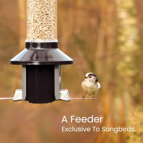 Roamwild PestOff 2.0 Squirrel Proof Bird Feeder – 4lb Hanging Tube