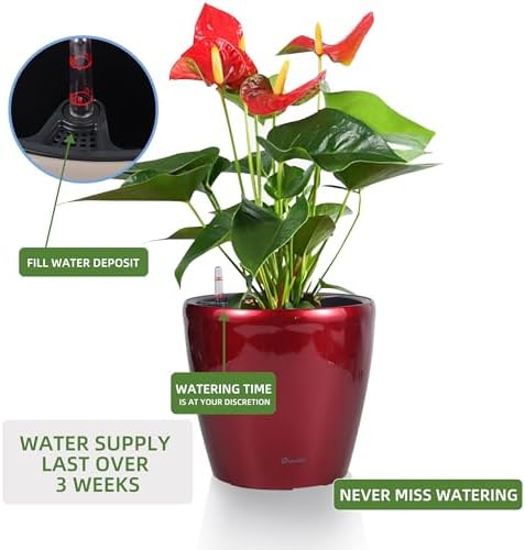 Dexceder 11x10 Self Watering Planter (Red High Gloss)