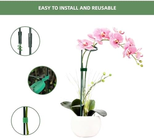 2 Pack Plant Support Sticks, 3 Sizes (12 or 24 or 36 inch) Garden Plant Stake, Plant Support Rings for Indoor Outdoor with Plants Ties, Plants Stakes for Flowers, Climbing Plants, Orchid