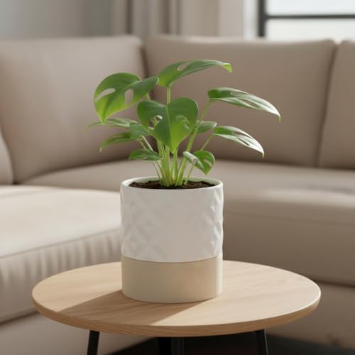 Nihow Ceramic Self Watering Plant Pot for Indoor Plants, 6 Inch,Cream White