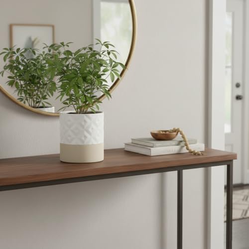 Nihow Ceramic Self Watering Plant Pot for Indoor Plants, 6 Inch,Cream White