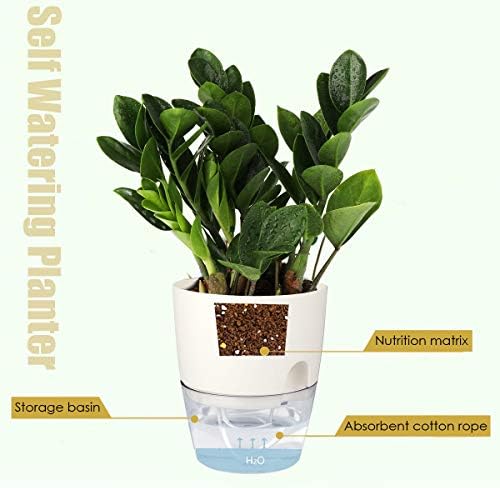 Vanavazon 6 Inch Self Watering Pots for Indoor Plants African Violet Pots