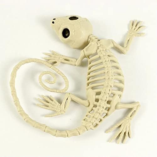 1Pcs Halloween Skeleton Bones Gecko Plastic Gecko Skeleton Model for Halloween Decoration Terror Scary Props