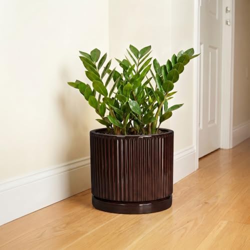 10 Inch Ceramic Plant Pots, Round Flower Pots with Saucer, Brown