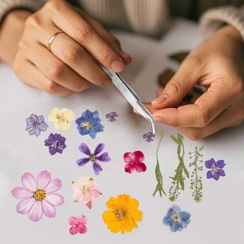 80PCS Spring Large Pressed Flowers Leaves , Real Nature Dry Flowers for Resin Craft, Larage Pressing Floral with Tweezers Set for DIY Jewelry Making Nail Card Scrapbook Art