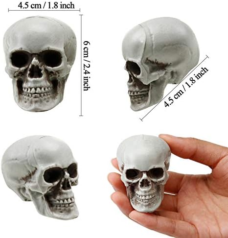 Boao 8 Pcs Halloween Small Skull Heads, 2.4 in Skeleton Skulls for Decor