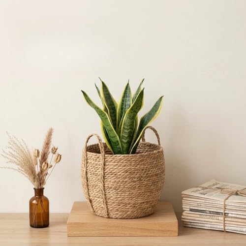 10 inch Large Seagrass Woven Planter Basket with Handles