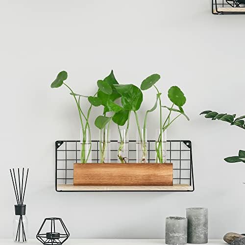 YIBOT Plant Propagation Station, Plant Terrarium with Wooden Stand