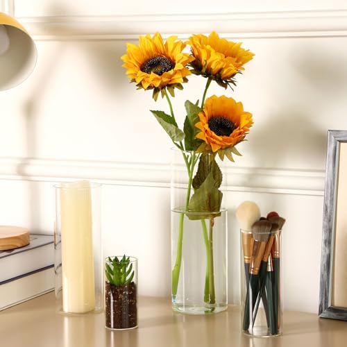 Fixwal 12pcs Clear Glass Cylinder Vases, 4, 6, 8, 10 Inch Tall