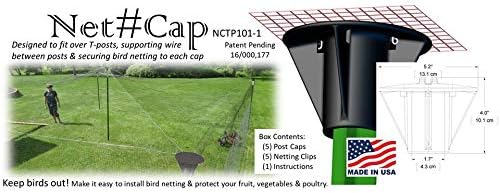 Bird Netting Post caps Madbird (5 Pack) for Bird-X, Birdbgone, Birdblock for Protecting Chickens, Blueberries.