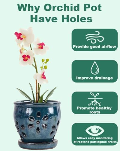 vensovo 5 Inch Ceramic Orchid Pot with Holes and Saucer, Blue