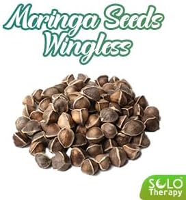Moringa Seeds Variety Pack, Moringa Seeds Kernels, Moringa Seeds Wingless, Moringa Seeds - PKM1-3 Packs of 2 oz Each