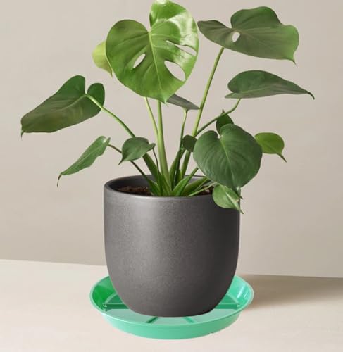 Plant Saucer Pot Tray 14 inch, 4 Packs Flower Planter Saucers and Drip Trays, Heavy Duty Round Plastic Flower Plant Dish Pant Plate to Catch Water for Indoor & Outdoor, Green