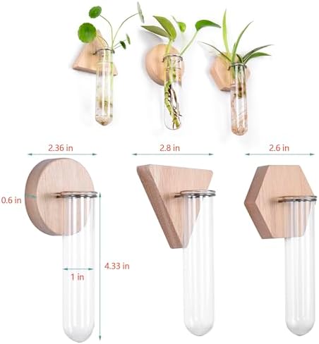 Wall Hanging Glass Planter Plant Propagation Station