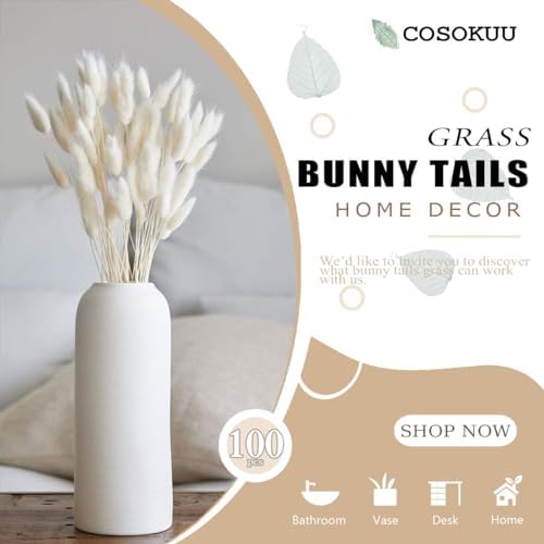 Bunny Tails Dried Flowers Boho Decor Pampass Grass 100pcs Floral Stems Decoration Plants 17 Inch (Natural)