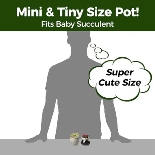 T4U Mini Ceramic Succulent Pots, Small Gift Planters, Retro Decor Set of 6