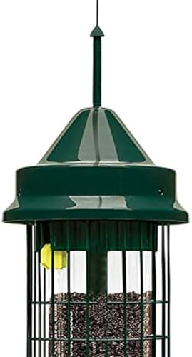 Squirrel Buster Classic Squirrel-proof Bird Feeder w/4 Feeding Ports, 2.4-pound Seed Capacity