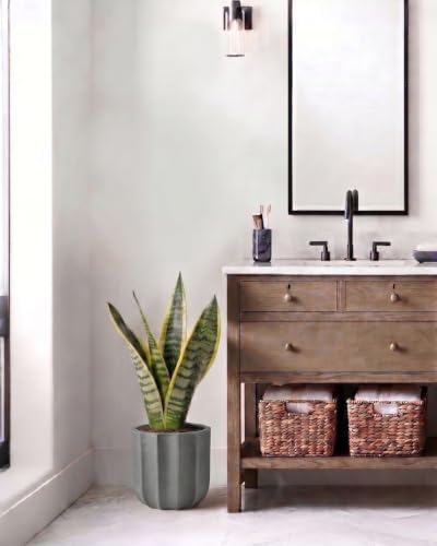 10 Inch Ceramic Plant Pot for Indoor Plants with Drainage Hole