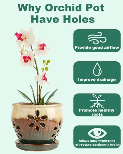vensovo 2 Pack 4 inch Orchid Pots with Holes and Saucers, Blue and Brown