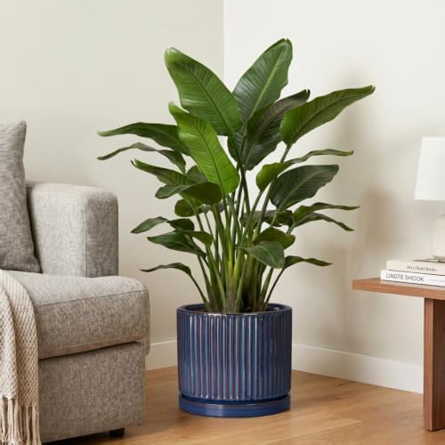 Ceramic Planter, 10 Inch Plant Pots with Saucer, Retro Blue