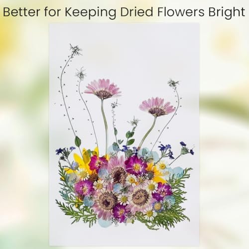 CRASPIRE 50 Sheets Flower Blotting Paper Flower Press 11.7x8.4in Blotter Papers Large Highly Absorbent Reusable Refill Drying Absorbing Large Sheet for Flowers Pressing Making Herbarium DIY Craft