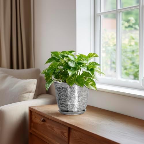 5.6 Inch Plant Pot, Ceramic Pots for Plants Indoor, Silver