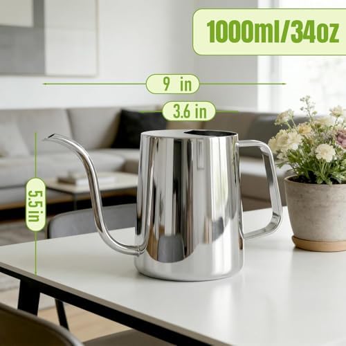 Plant Watering Can, 304 Stainless Steel Watering Can Indoor, 34 oz