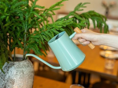 Green Moon 1L/35oz Metal Watering Can Indoor with Long Spout, Mint Green