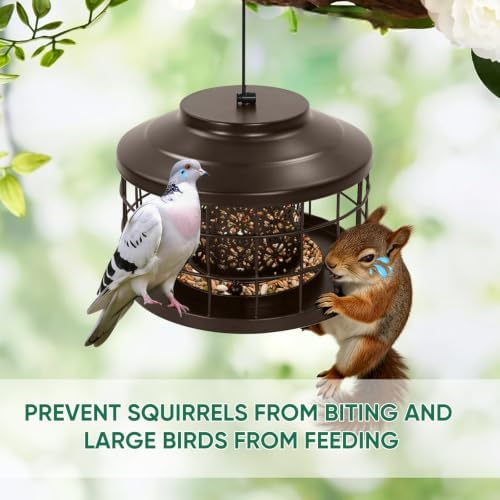 Outdoor Hanging Metal Bird Feeder, Squirrel & Pigeon Proof, Weather Resistant Feeder for Small Wild Birds, Suitable for Garden Decoration (Bronze)