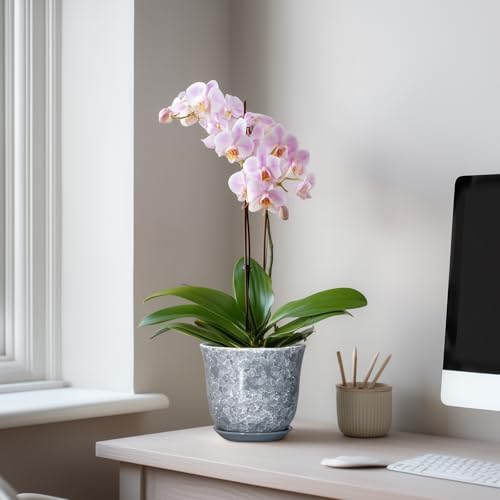 Ceramic Planter, 6 Inch Plant Pot for Indoor Plants, Grey