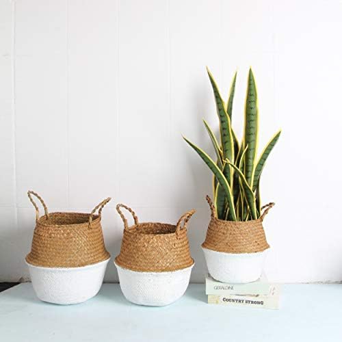 Woven Seagrass Belly Basket for Storage, Laundry, Picnic, Plant Pot Cover, and Grocery and Toy Storage (Medium, White)