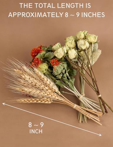 Dried Flower Box, Craft Pack, Mini Preserved Flower, Dry Flowers Epoxy Resin, Jewelry Craft, DIY Material, Candle Making. (Green)