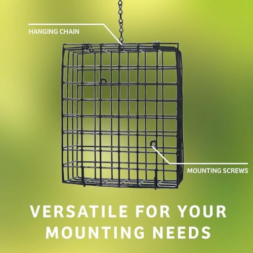 Birds Choice Suet Cage Feeder, Holds 1 Suet Cake | Hanging Bird Suet Feeder for Woodpeckers, Jays, Nuthatches | Vinyl Coated Grids | Sturdy for Garden, Backyard, Outdoor | 4.75" L x 1.625" W x 6" H