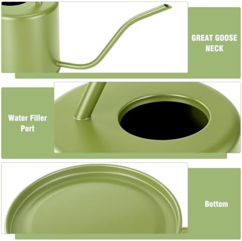 Plant Watering Can, 50 oz / 1500 ml Stainless Steel Metal - Modern Decorative with Long Spout for Indoor Potted Plants, Bonsai, Garden Flowers, Saga Green