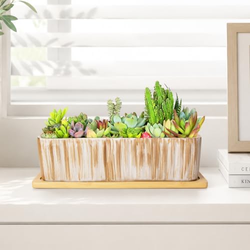 Succulent Pots, 12'' Long Rectangle Planters with Tray, Windowsill Planter