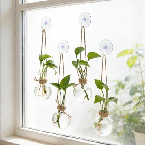 Bunmery 4 PCS Window Propagation Stations, Glass Plant Propagation Bulbs Vases with Suction Cups & Traceless Nails, Easy to Install Window Wall Hanging Planter Terrarium Vase for Home Office Decor