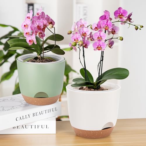 5Packs Self Watering Orchid Pots for Indoor Plants,5.8 Inch Macetas para Orqudeas,Flower Pots for Indoor Plants with Holes(White)